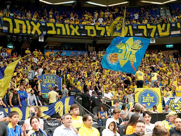 הם יזכו לקיץ מעניין מאוד (אלן שיבר)