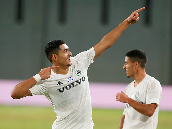 (אלן שיבר)