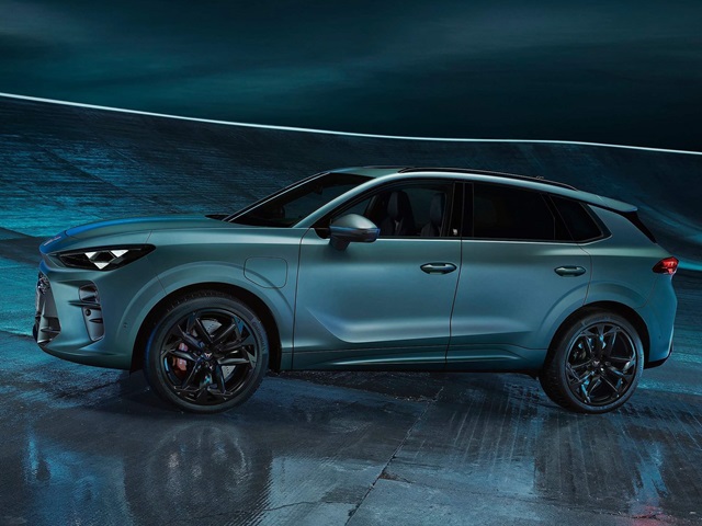 חולק פלטפורמה עם הפורמנטור, אבל גדול ממנו