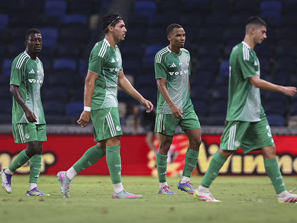 (מאור אלקסלסי)