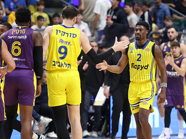חגיגה בהיכל (אלן שיבר)