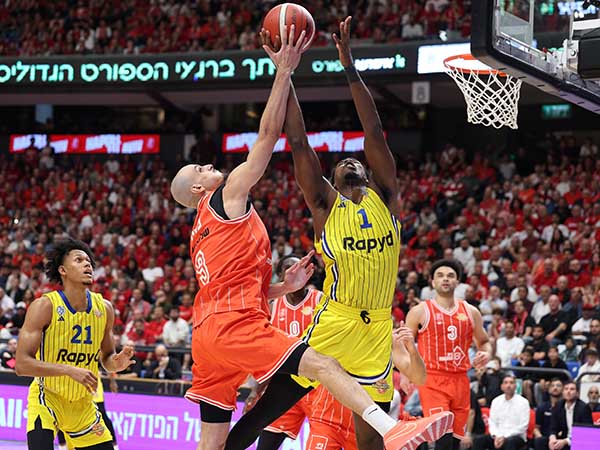 פלטין. במועדון אופטימיים (אלן שיבר)