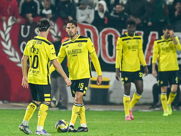 (ברני ארדוב)