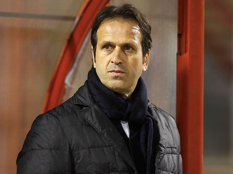 עוד חיזוק. רוני לוי (צילום: אלן שיבר)