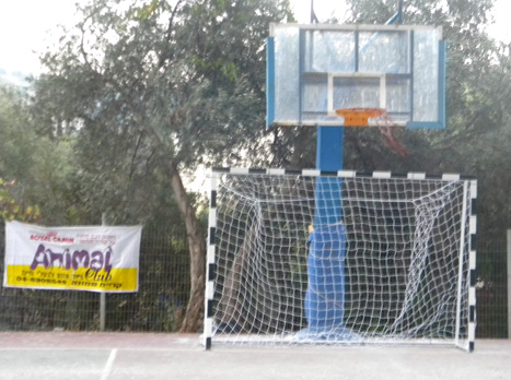 השער החדש