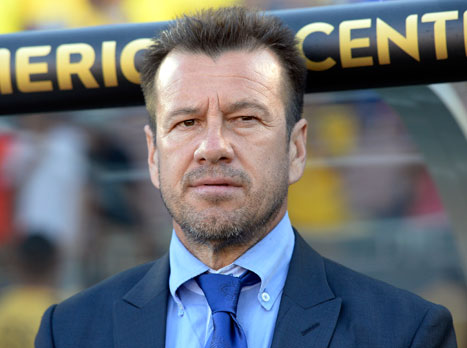 דונגה. החזיר את האפרוריות (getty)