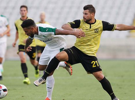 ייעדר בגלל צהובים. מויאל (sentragoal)