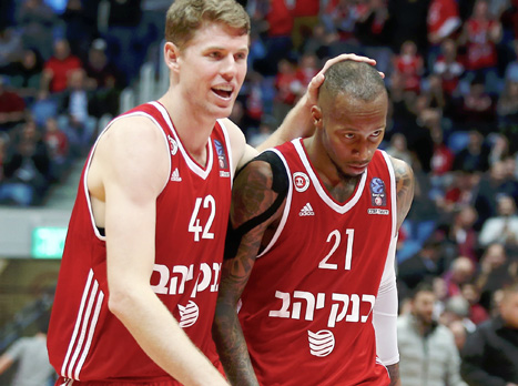 (אלן שיבר)