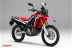 חדש בארץ: הונדה CRF250 ראלי