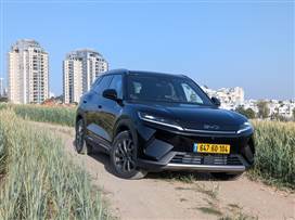 צילום: רן סגל