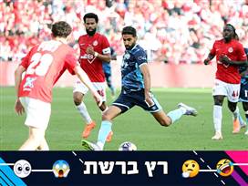 (אודי ציטיאט)