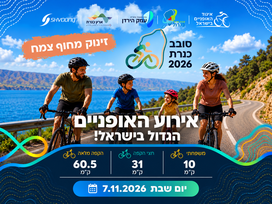סובב כינרת