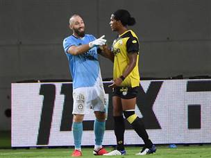 שמרו על שער נקי (ברני ארדוב)