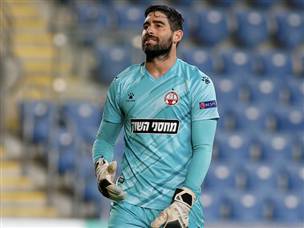 לויטה טעה בגדול (אלן שיבר)