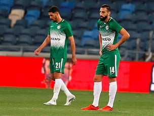 הירוקים נפלו מהרגליים (אלן שיבר)