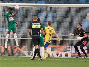 (צילום: אלן שיבר)