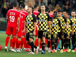 (צילום: אלן שיבר)