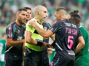 (צילום: אלן שיבר)