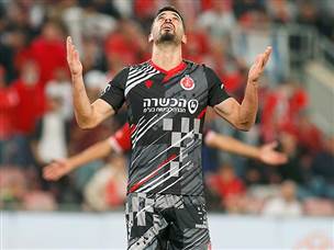 החמצות (אלן שיבר)