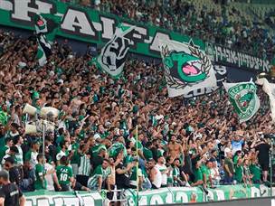 והקהל הירוק? יכול לחלום רחוק (צילום: אלן שיבר)