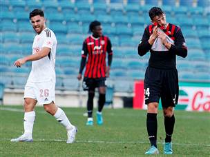 חלוקה בטדי (אלן שיבר)