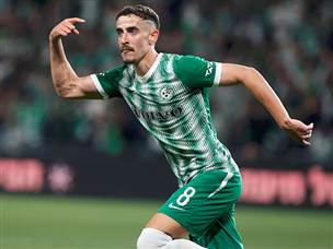 חזיזה החזיר את הירוקים (צילום: אלן שיבר)