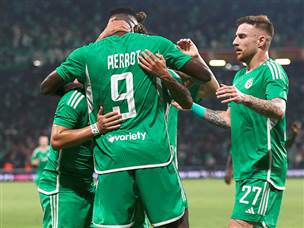 דין דוד חתם את החגיגה (אלן שיבר)