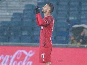 תורג'מן כבש ראשון (צילום: דני מרון)