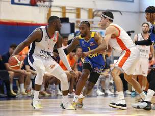 (אודי ציטיאט)