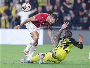 במטרה להבטיח אירופה (צילום: אלן שיבר)