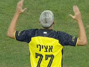 אצילי כבש שער גדול