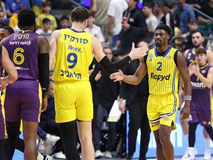 חגיגה בהיכל (אלן שיבר)