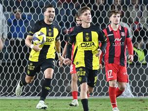 ושועה אמנם כבש מפנדל (צילום: ברני ארדוב)