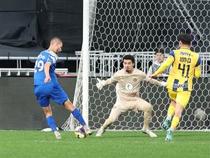 מנגד בני סכנין ניסתה לעקוץ (אלן שיבר)