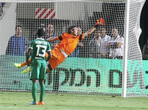 שער אדיר של הרכש מטולוז (אלן שיבר)