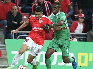 זריהן. נקודת האור (אלן שיבר)