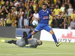 כהן לא התחשב (אלן שיבר)