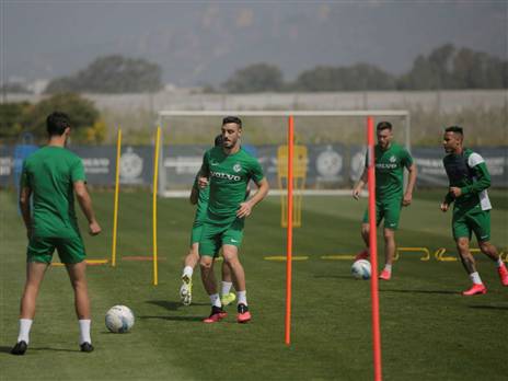 (האתר הרשמי של מכבי חיפה)