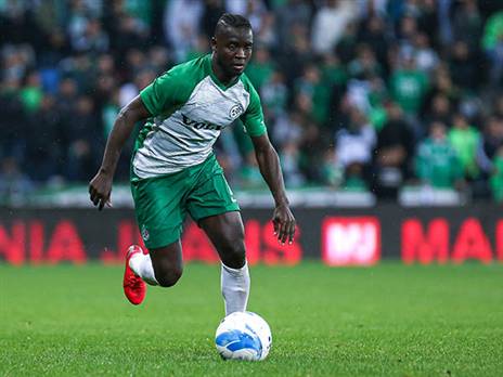 יפתח בפלייאוף, סלליך (יוסי שקל)