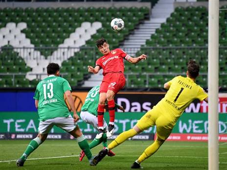 ראש הזהב של האברץ (getty)