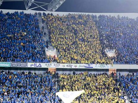 יהיה גם קהל צהוב בבלומפילד? (אלן שיבר)