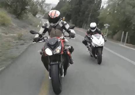 (צילום: פולגז)