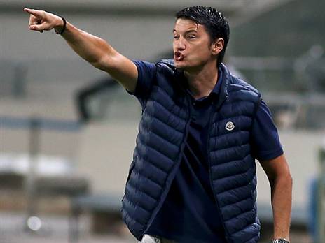 איביץ', לא אהב את ההמולה (אלן שיבר)