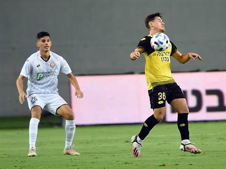 (ברני ארדוב)