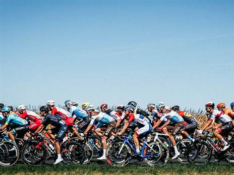 הפלוטון של הקטע העשירי (נועה ארנון)