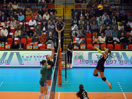 (איגוד הכדורעף)