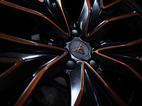 (יוסי מויאל)