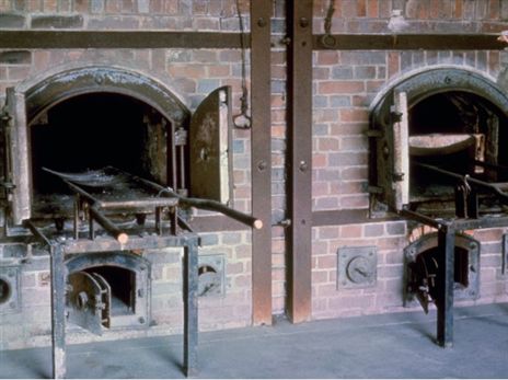 צילומים מתוך מחנה הריכוז דכאו. גורצקה קרס על ברכיו פרץ בבכי (Getty)