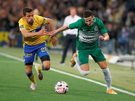 אין להם מקום במסיבה (אלן שיבר)