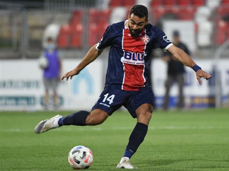 (ברני ארדוב)